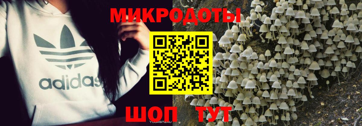 Галлюциногенные грибы GOLDEN TEACHER Кимры