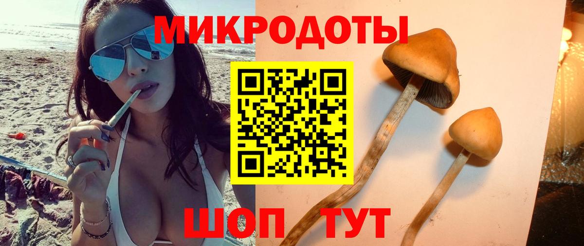 A-PVP Кимры