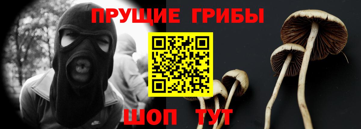Кимры  купить  сайты  Вход с VPN  Псилоцибиновые грибы Psilocybe  Псилоцибиновые грибы MAGIC MUSHROOMS 